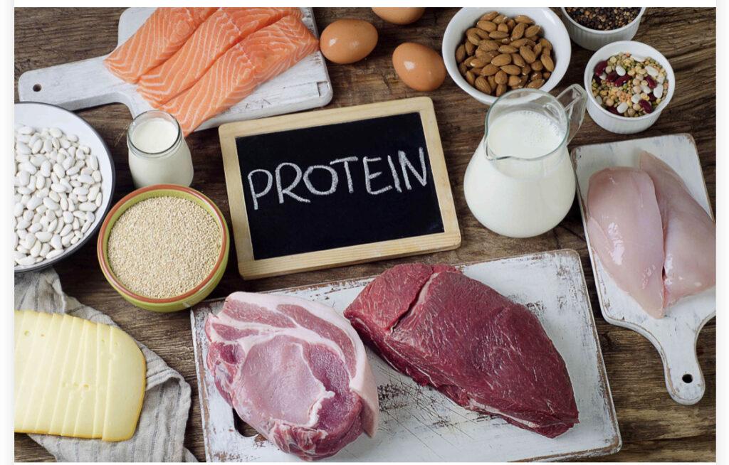 Comparative Analysis of recovery Proteins