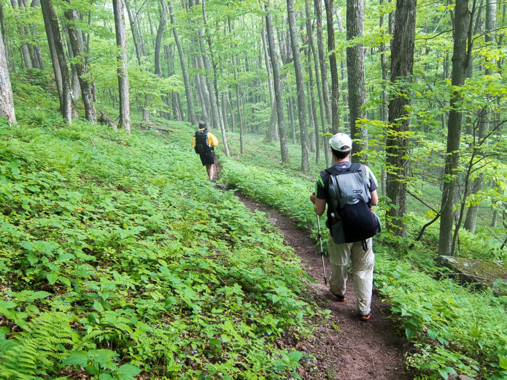 Choosing the Right features for Trail Navigation