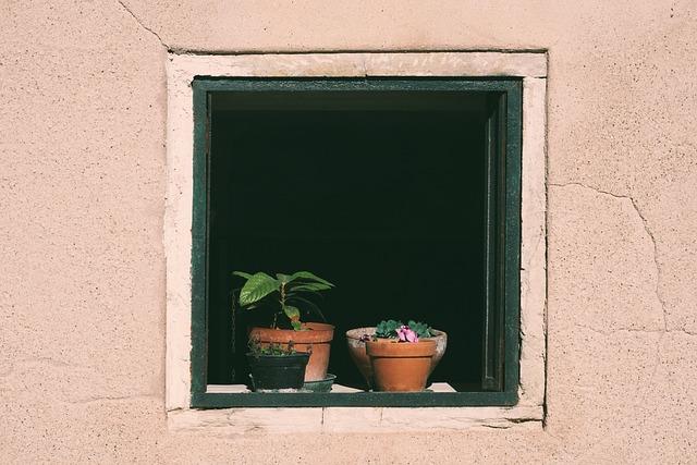 Expert Insights: Evaluating the Performance ⁣in ‌real Life