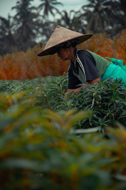 Beyond Sourcing:​ How Viva Naturals Implements Eco-Friendly Practices in Processing
