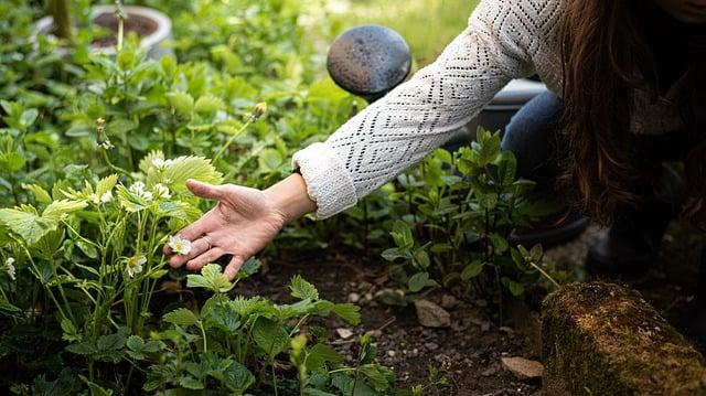 Key Ingredients to Look for in Eco-Friendly floor Care Products