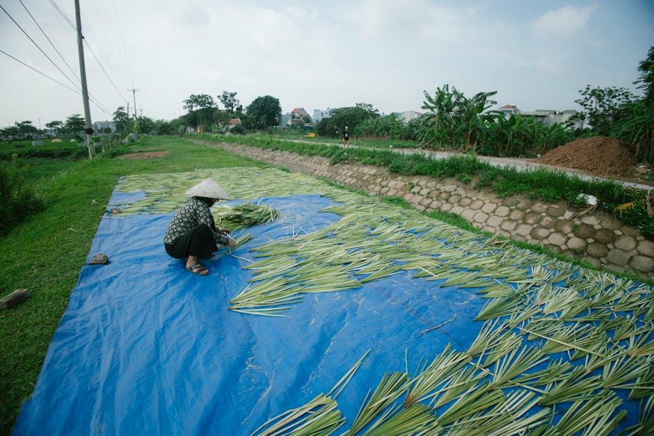 Sustainable Practices in ‍Organic Cotton Farming