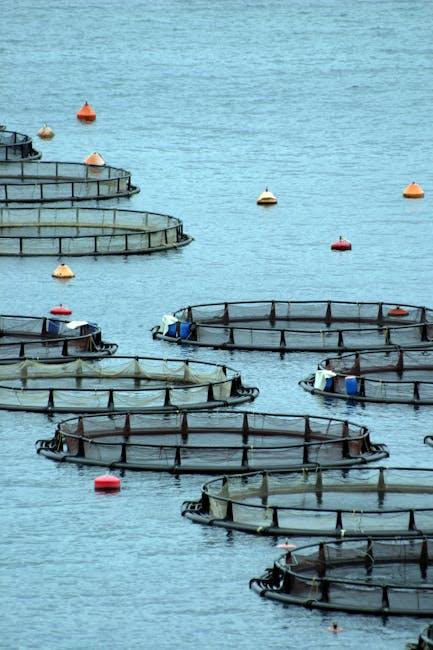 The ​Journey of Sourcing:⁤ Understanding Viva Naturals’ ⁤Commitment to ⁤Lasting Fisheries
