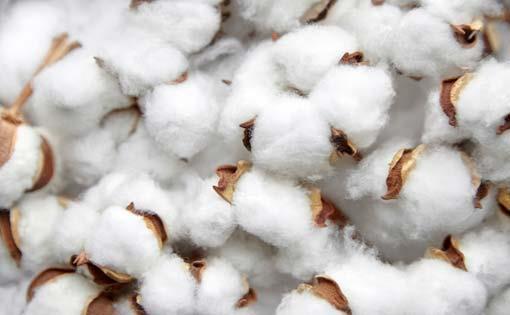 understanding⁤ the Benefits of organic Cotton for Baby skin