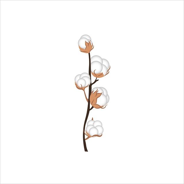 Exploring the Benefits ⁢of Organic⁤ Cotton in ⁤Sustainable Fashion