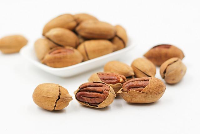 Choosing the Right Protein: Momentous Recovery Protein Versus Other ‌Supplements
