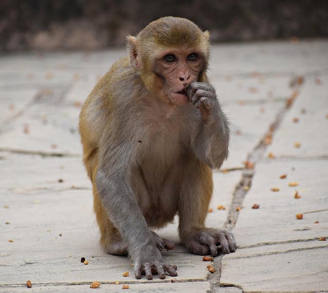 Understanding‌ Emotional Eating and Its Triggers