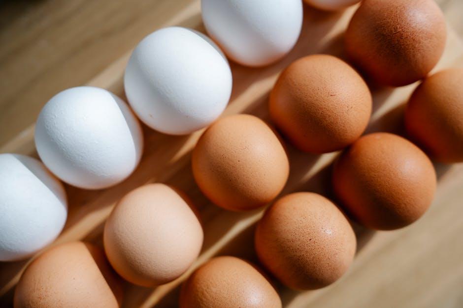 Top Retailers for Purchasing Your Protein Supply