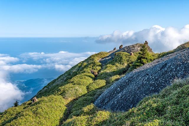Elevation ⁣Insights: Tracking Altitude Changes ⁤for⁢ Optimal Performance